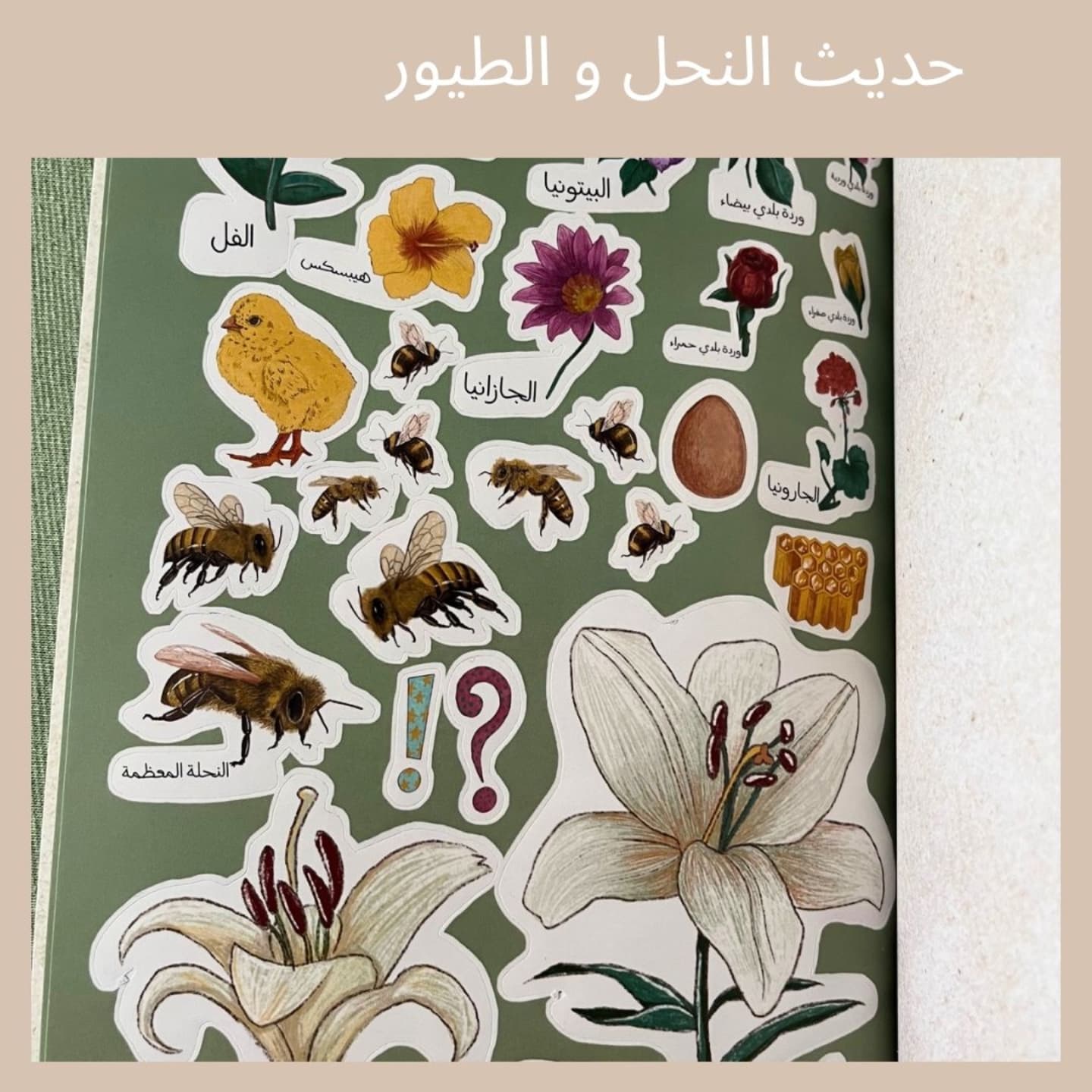 The Conversation of Bees and Birds - حديث النحل والطيور