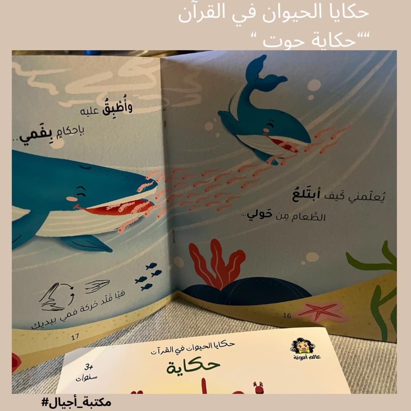 Story of the Whale 🐳 A Whale's Tale