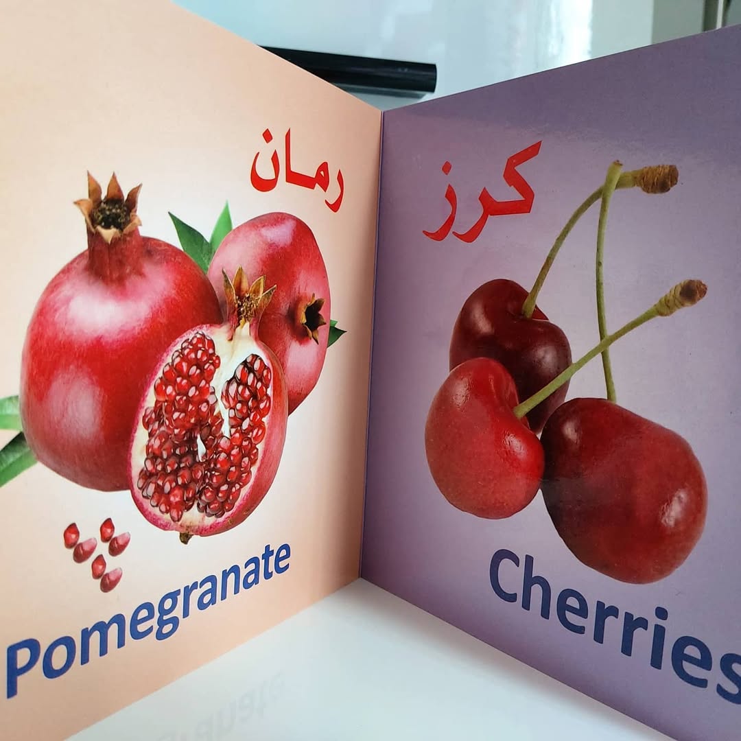 Learn with Us Series - سلسلة تعلم معنا