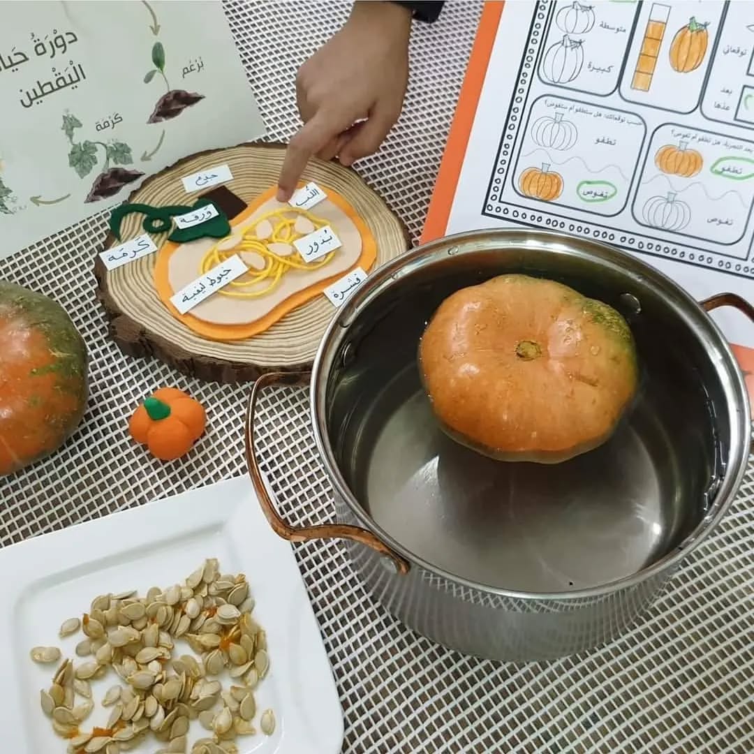 Fatin and the Pumpkin Fruit