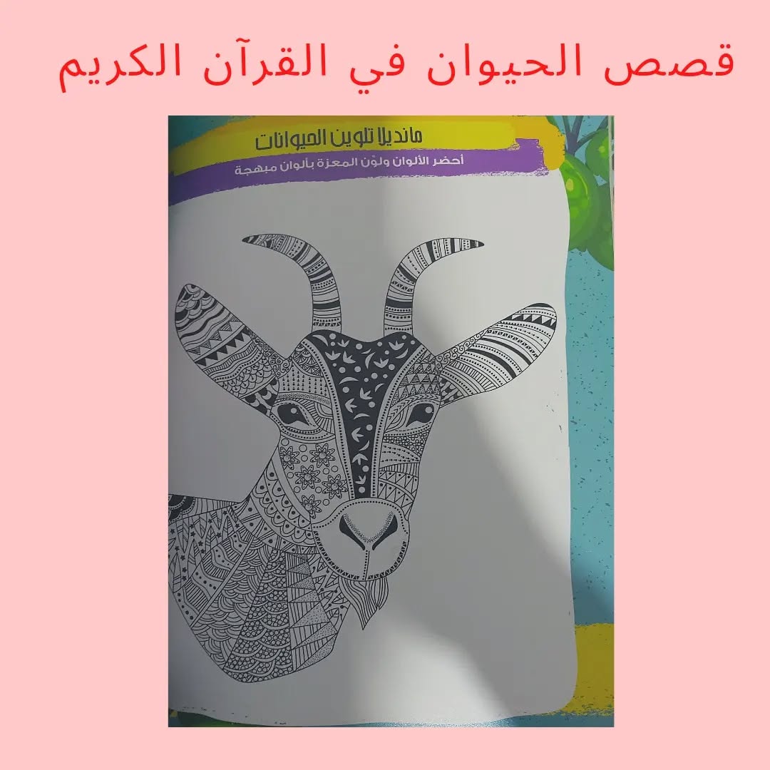 Animal Stories in the Holy Qur’an - Animal Stories in the Holy Qur’an