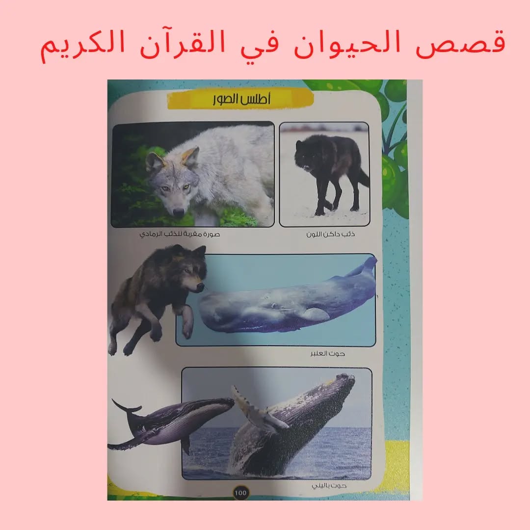 Animal Stories in the Holy Qur’an - Animal Stories in the Holy Qur’an