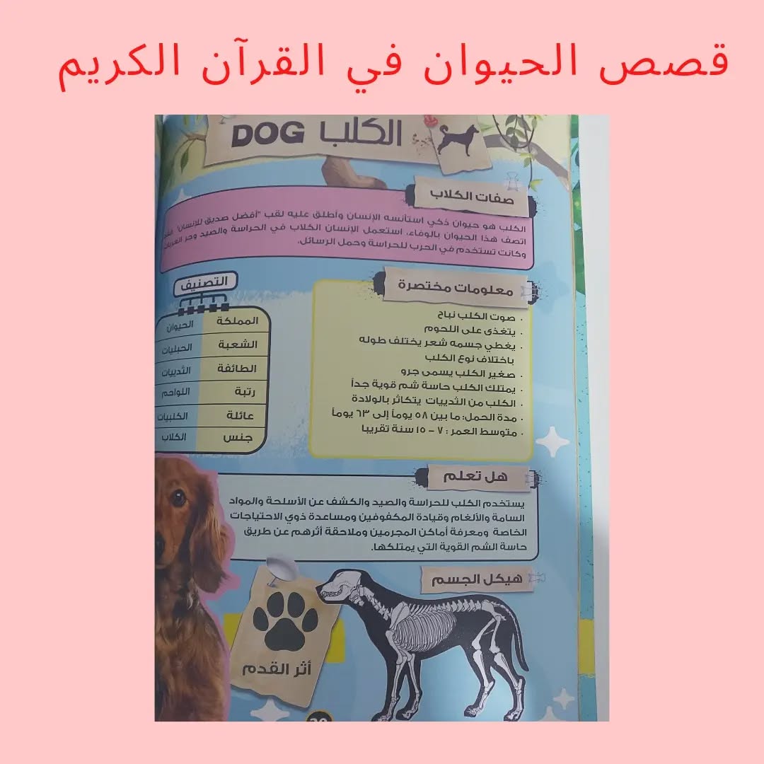 Animal Stories in the Holy Qur’an - Animal Stories in the Holy Qur’an