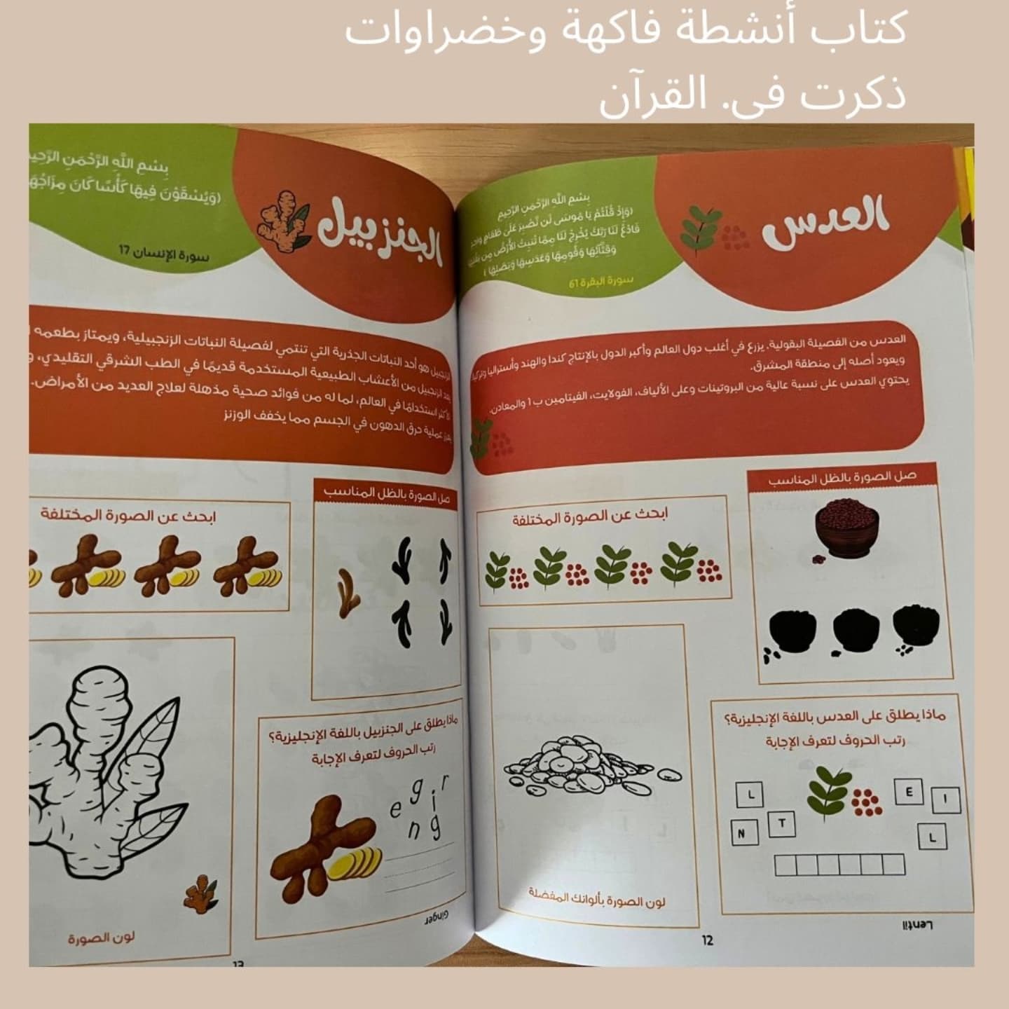 fruits and vegetables activity book - A Quranic Journey