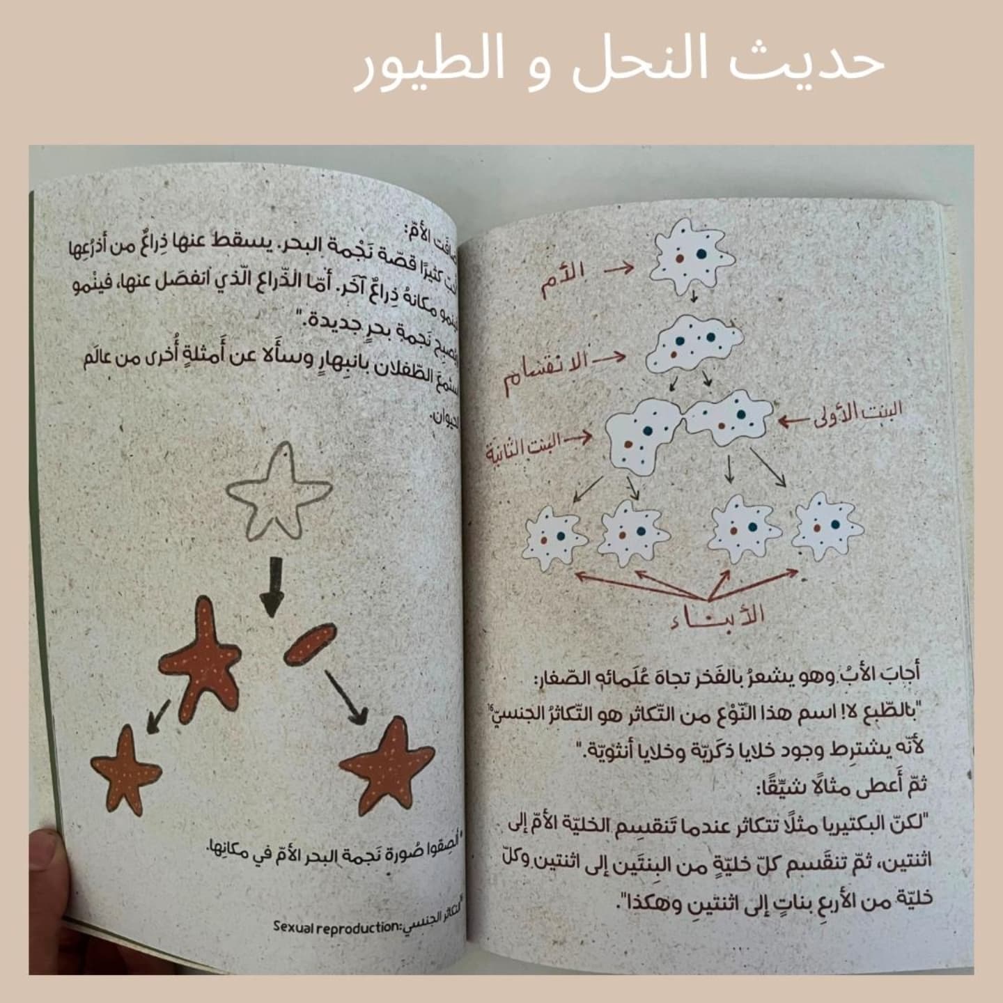 The Conversation of Bees and  Birds - حديث النحل والطيور
