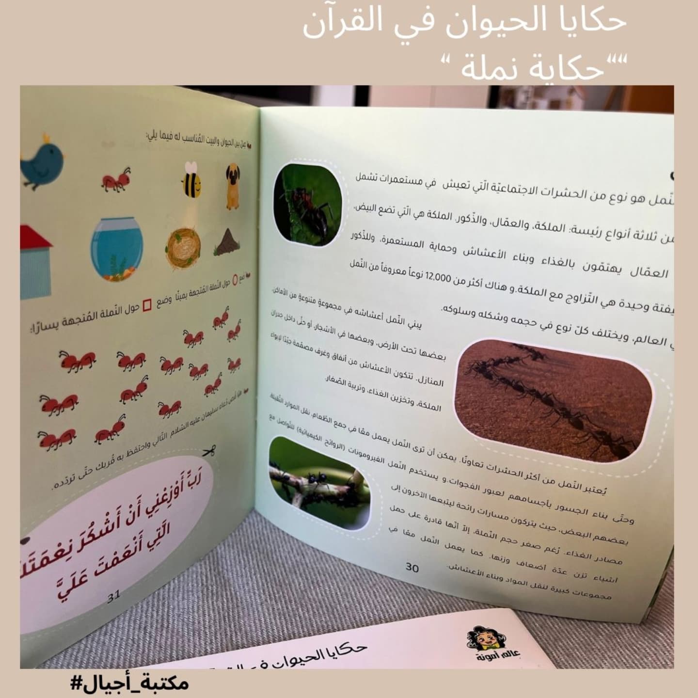 The Story of an Ant 🐜 L'histoire d'une fourmi