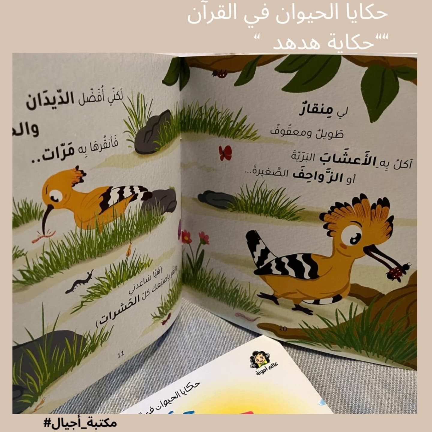 The story of a Hoopoe 🐦- حكاية هدهد