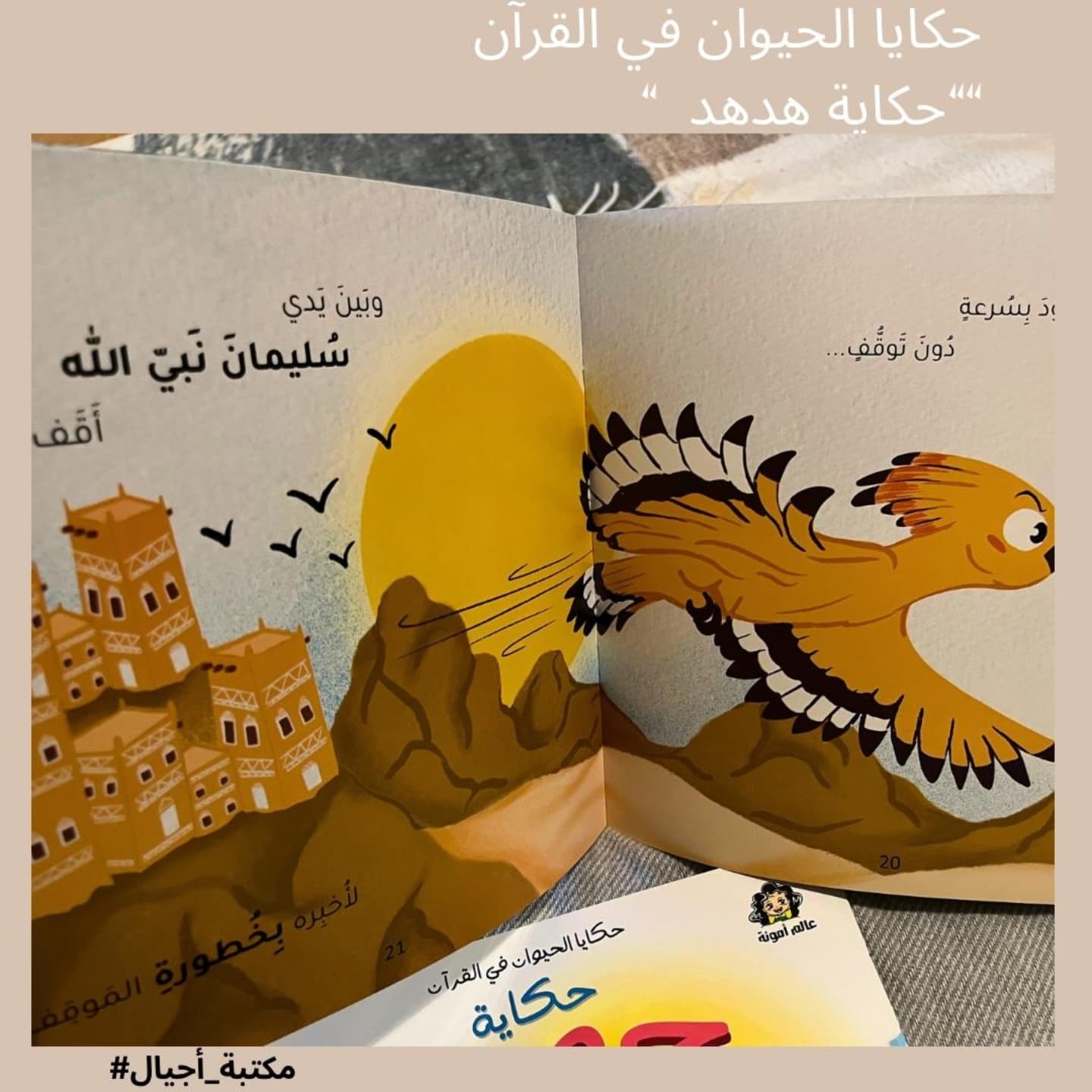 The story of a Hoopoe 🐦- حكاية هدهد