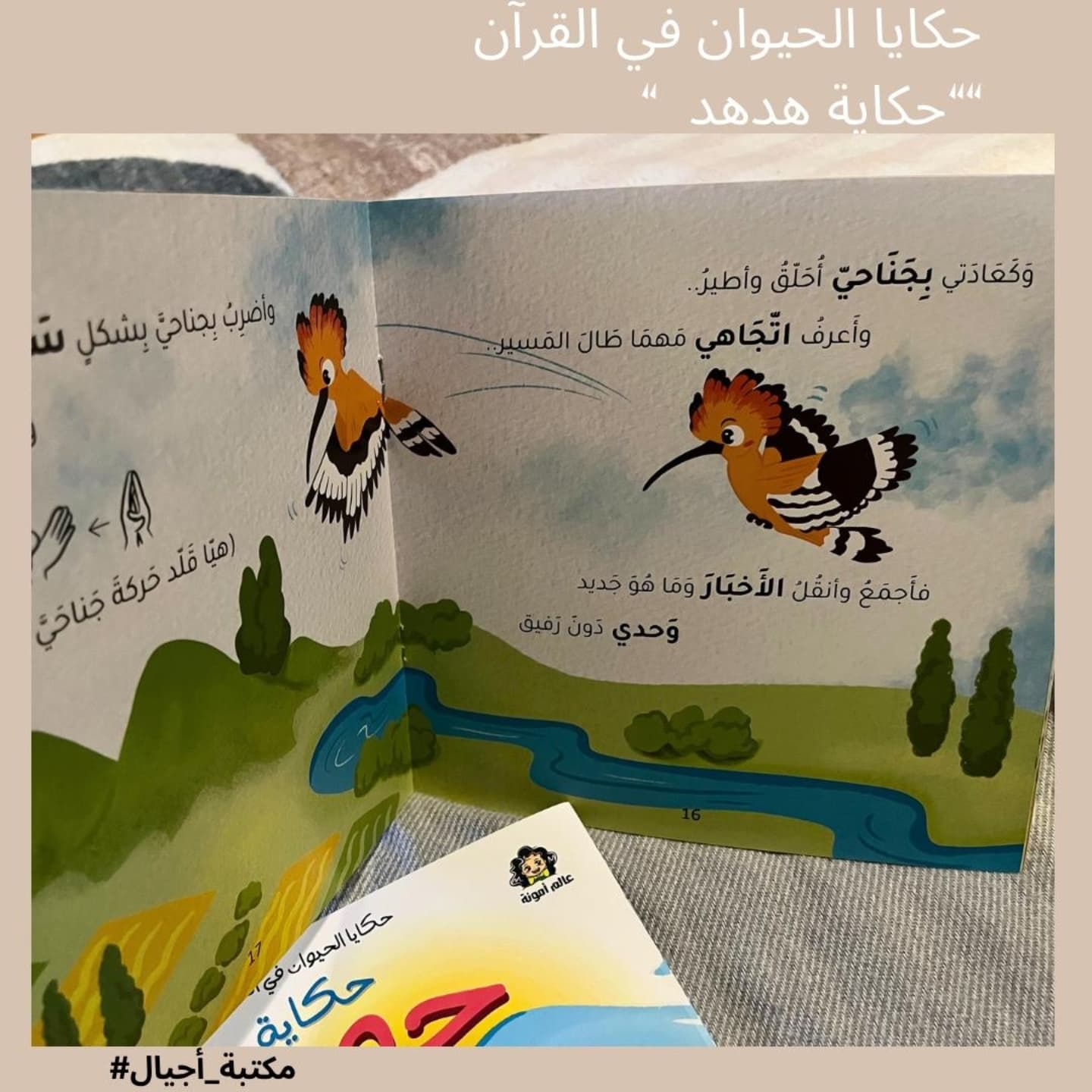 The story of a Hoopoe 🐦- حكاية هدهد