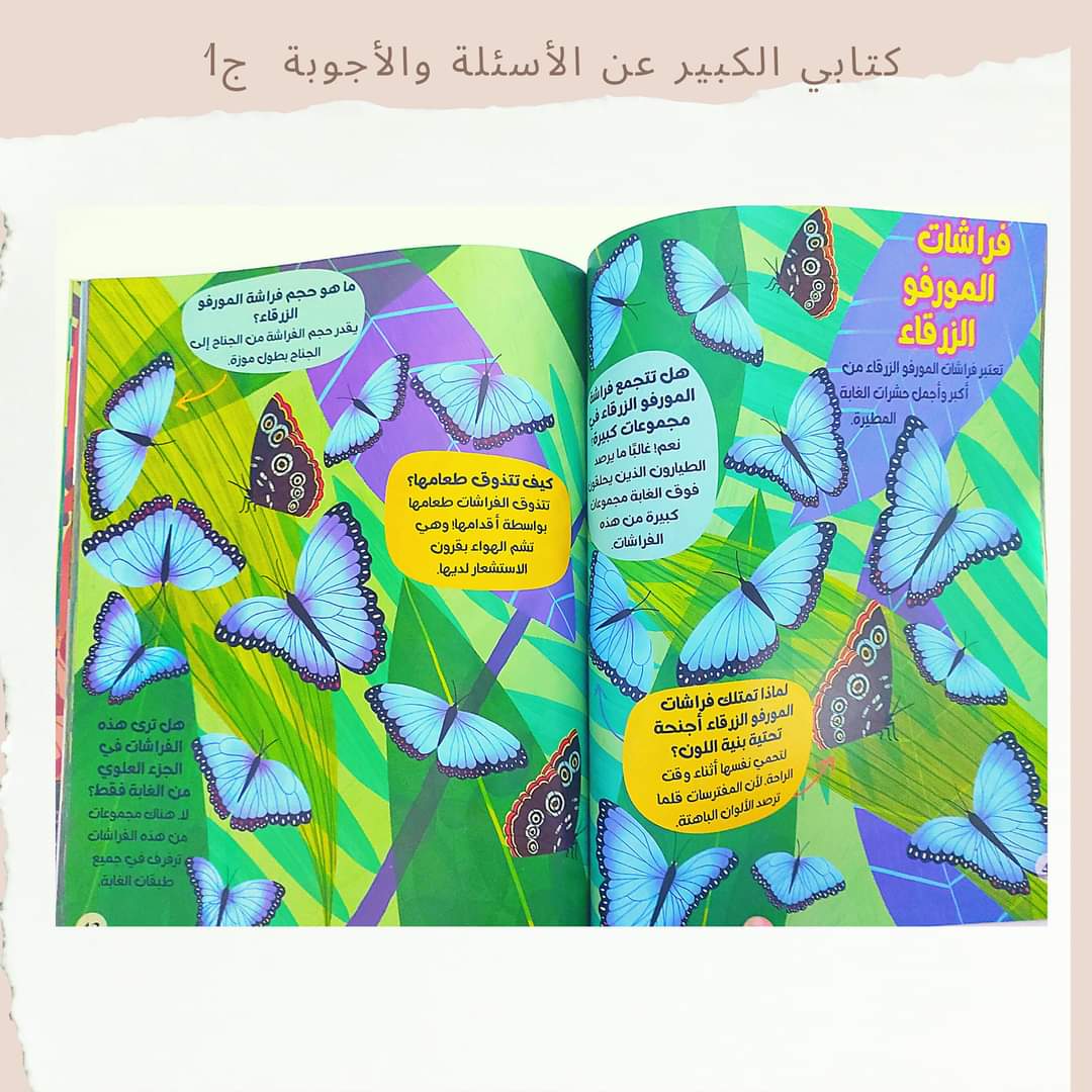 My Big Book of Questions and Answers Part 1 - 1كتابي الكبير عن الأسئلة والأجوبة ج