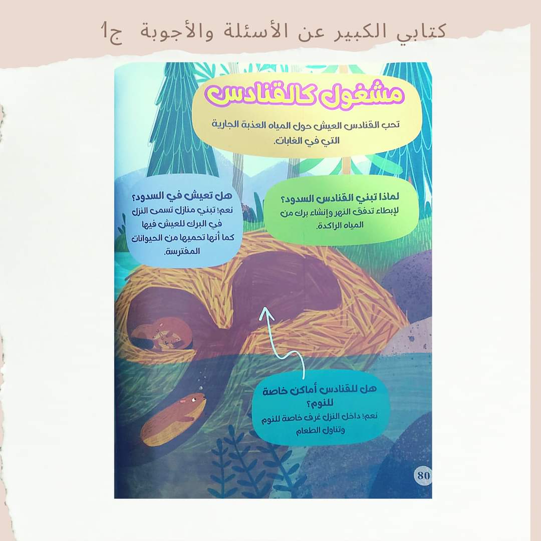 My Big Book of Questions and Answers Part 1 - 1كتابي الكبير عن الأسئلة والأجوبة ج