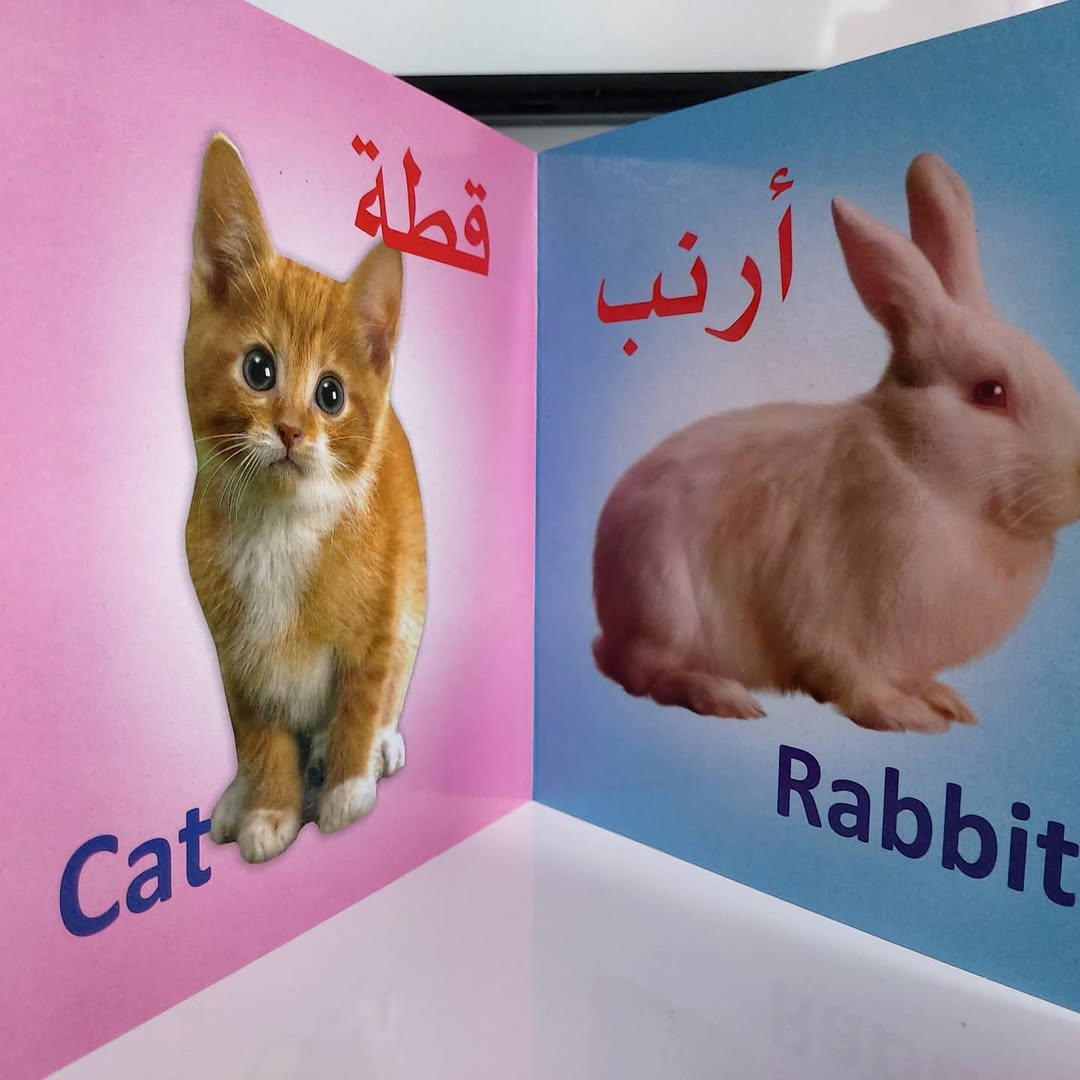 Learn with Us Series - سلسلة تعلم معنا