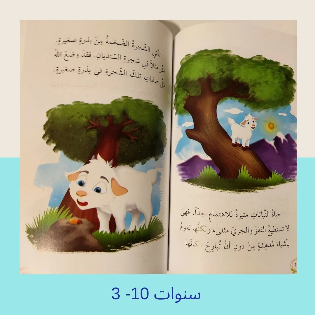 Reflections on the Blessings of God - تأمل في نعم الله