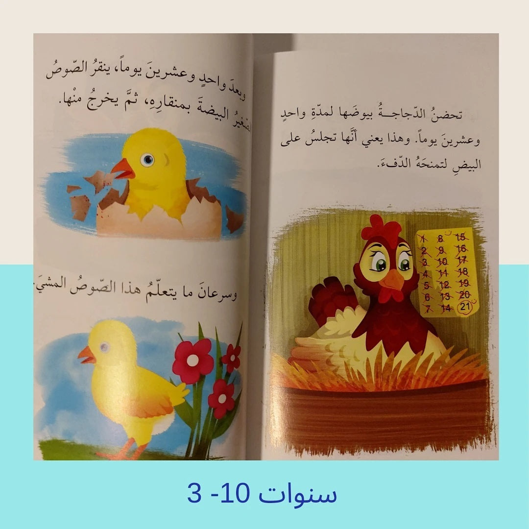 Reflections on the Blessings of God - تأمل في نعم الله