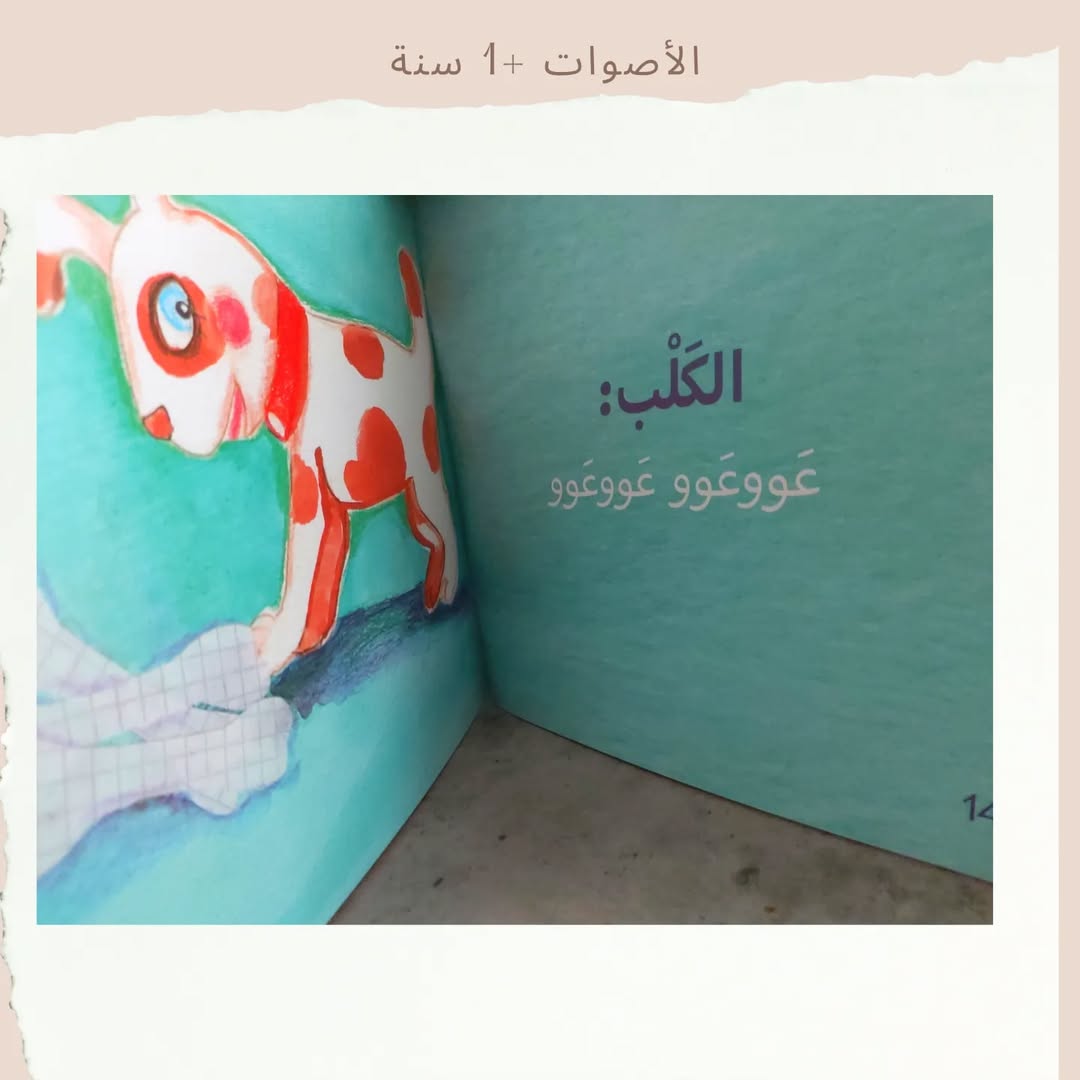 The Sounds - الأصوات