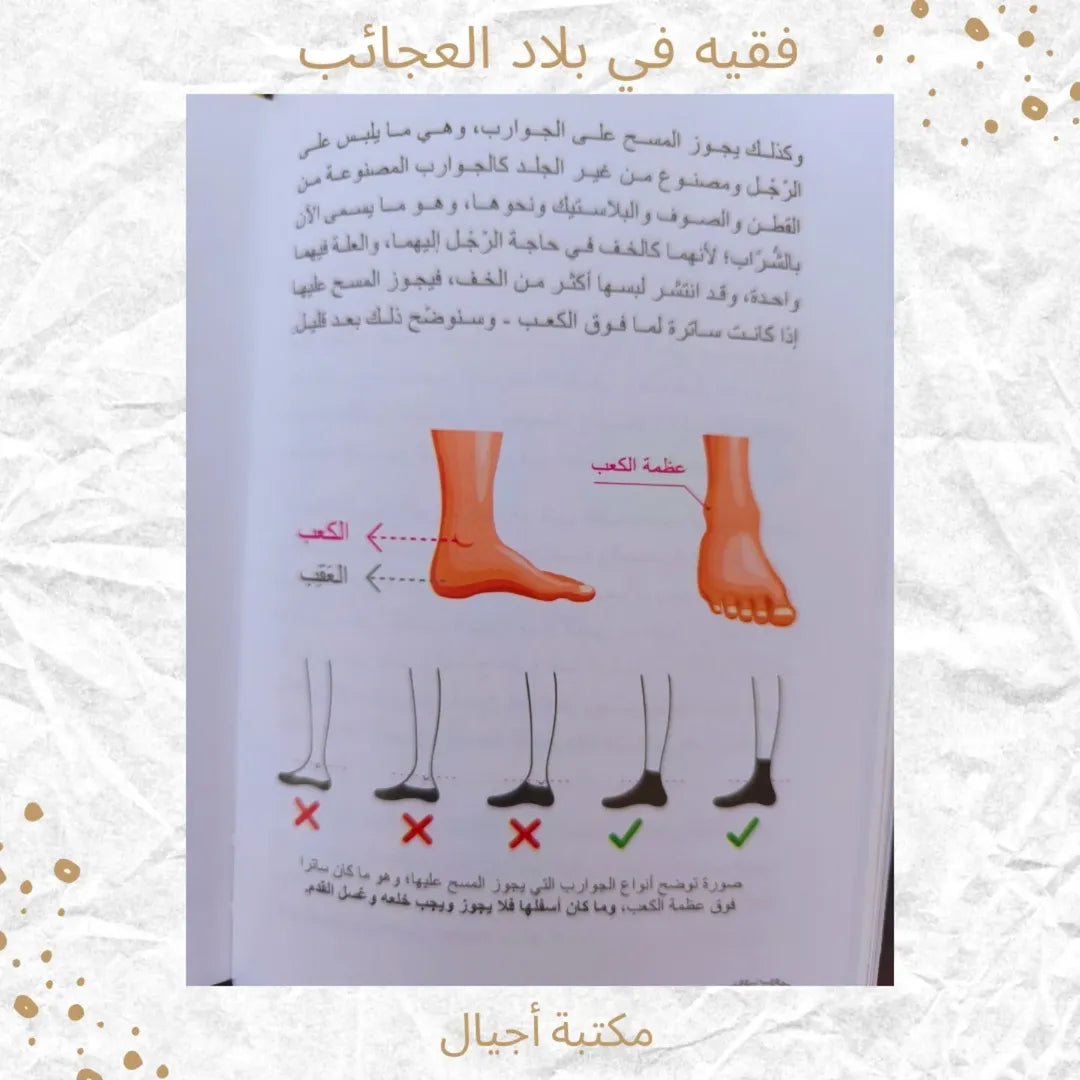 A Jurist in Wonderland - فقيه في بلاد العجائب