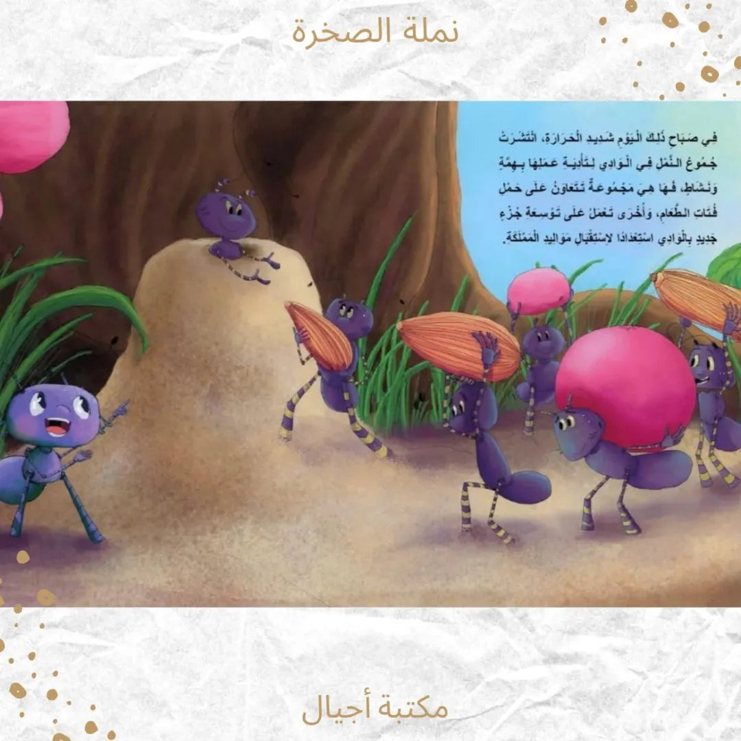 The Rock Ant Series - مجموعة "نملة الصخرة"