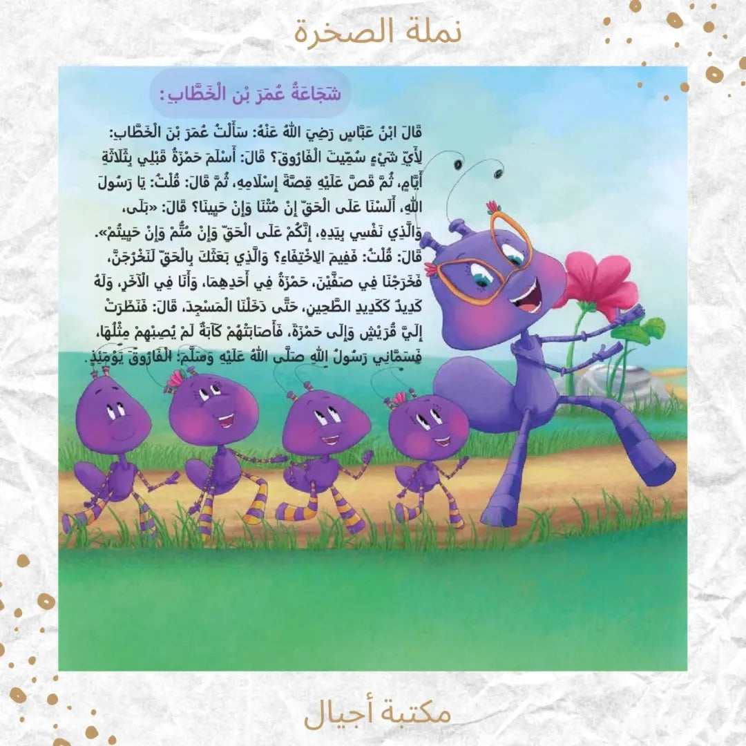 The Rock Ant Series - مجموعة "نملة الصخرة"