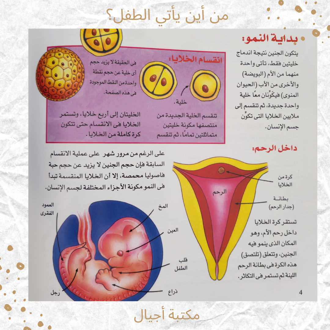 من أين يأتي الطفل؟ - Where does the child come from?