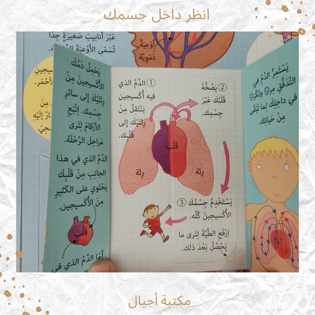 انظر داخل جسمك - Look into your body
