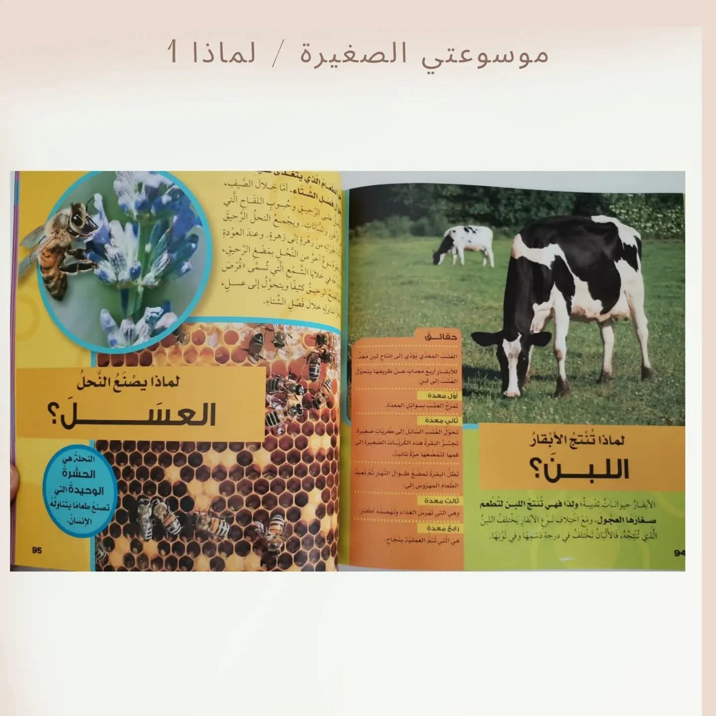 موسوعتي الصغيرة / لماذا 1 - My little encyclopedia/ Why 1