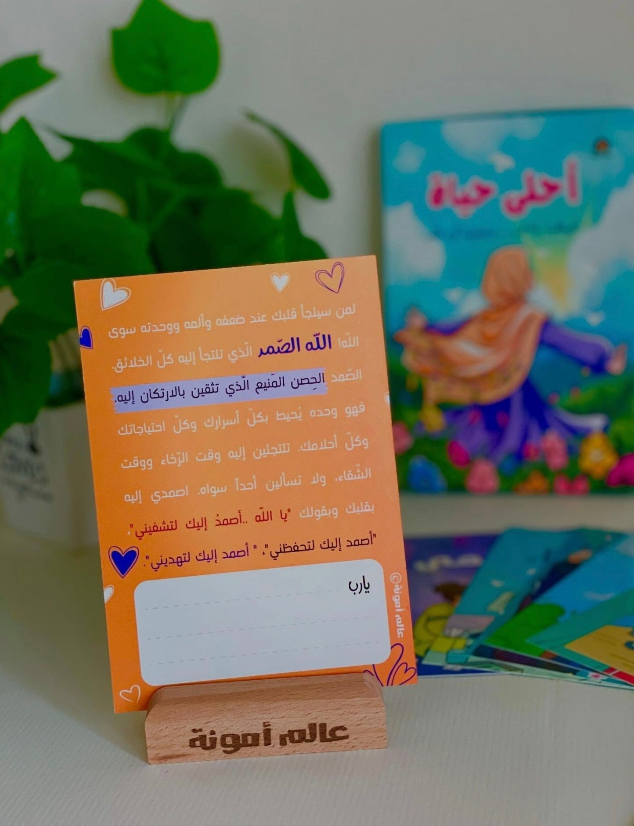 أحلى حياة - The best life