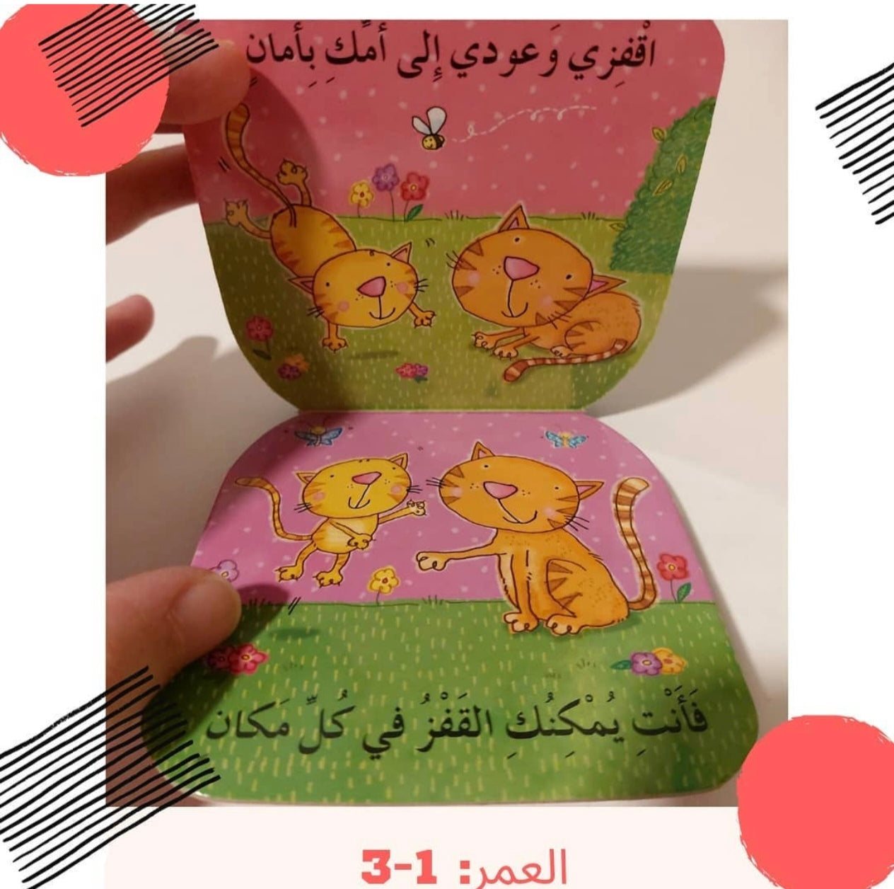 النطاطون الصغار - Small Jumpers