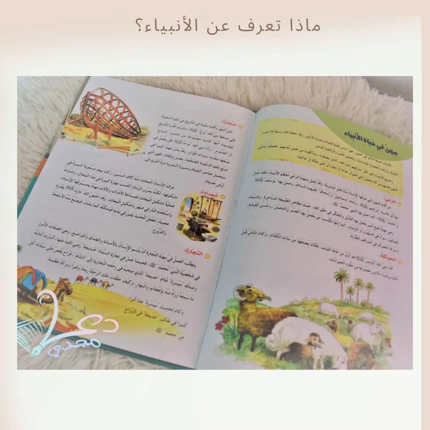 ماذا تعرف عن الأنبياء ـ What do you know about Prophets