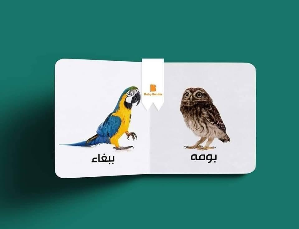 سلسلة تعليم الرضع - Infant education serie
