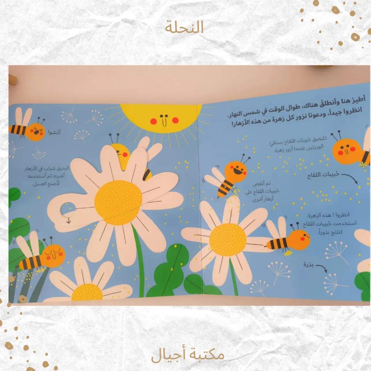 النحلة - The bee