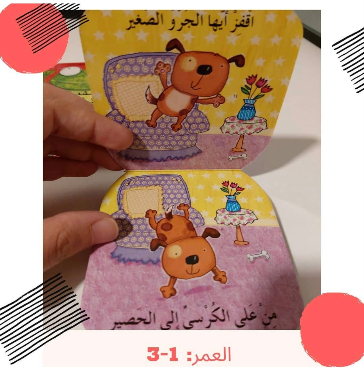 النطاطون الصغار - Small Jumpers