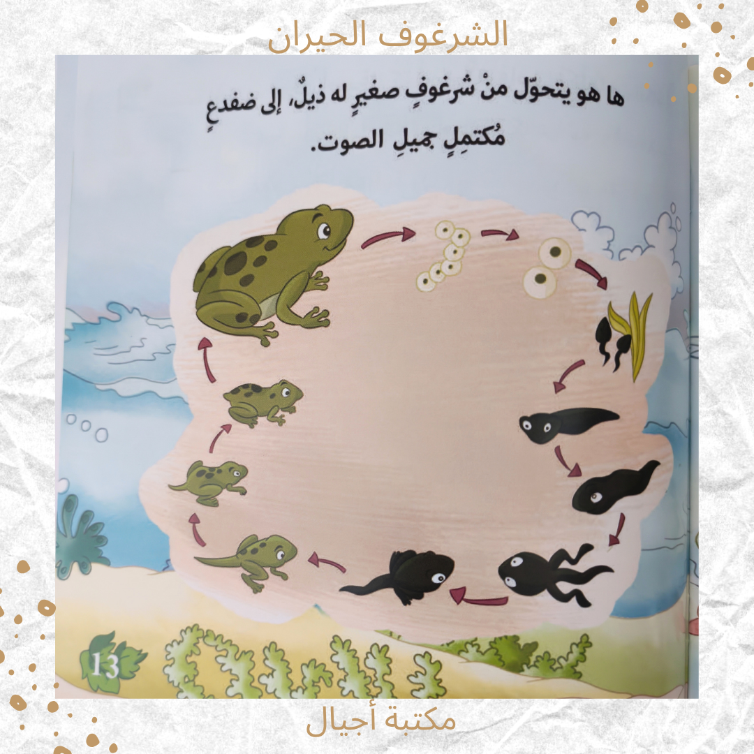 الشرغوف الحيران - The Bewildered Tadpole
