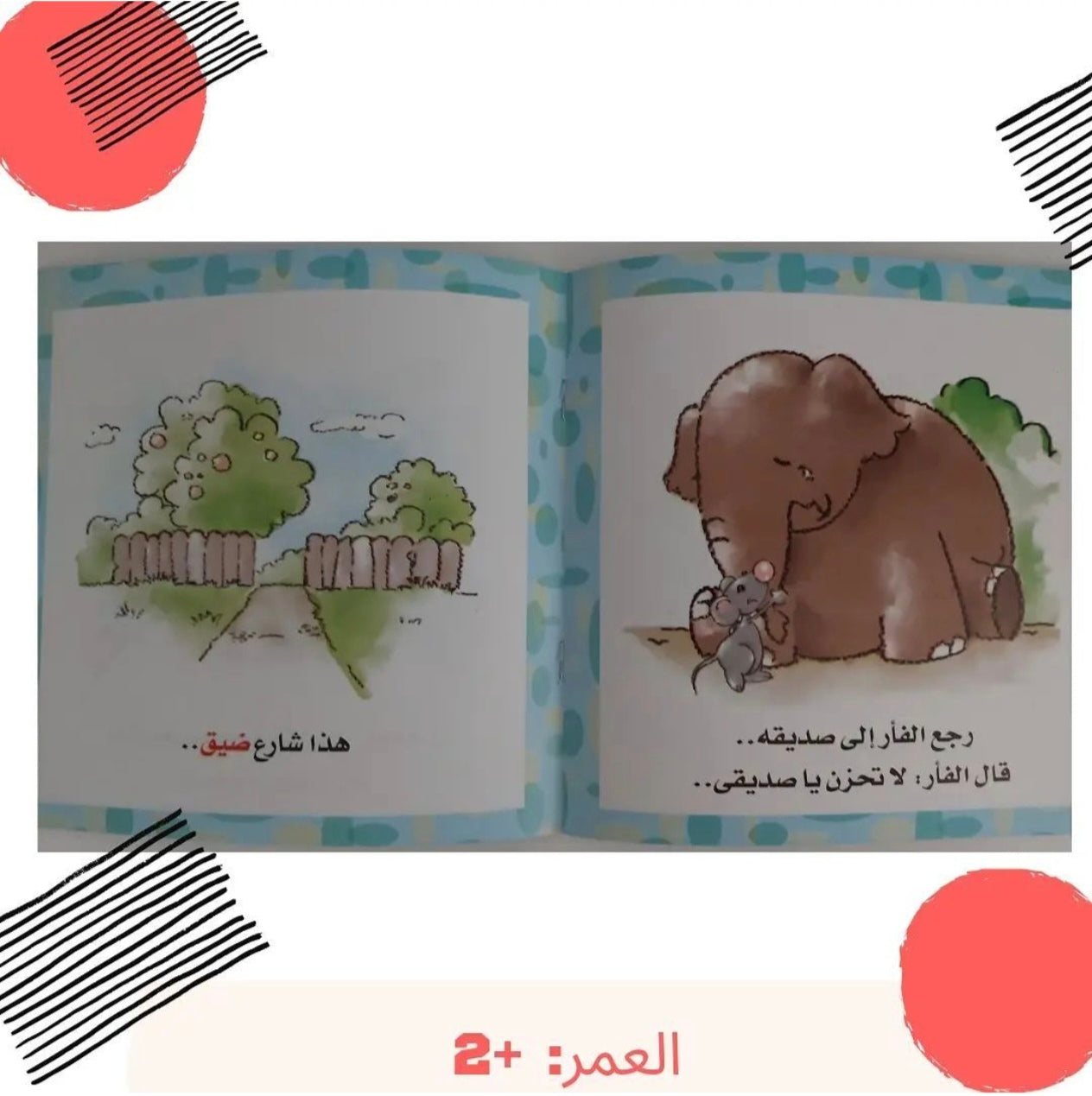 عاكس ومعكوس - opposites