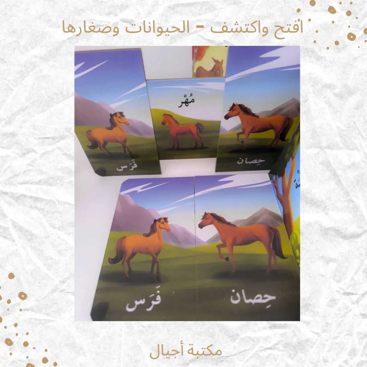 افتح واكتشف ـ صغار الحيوانات -Open and discover animals