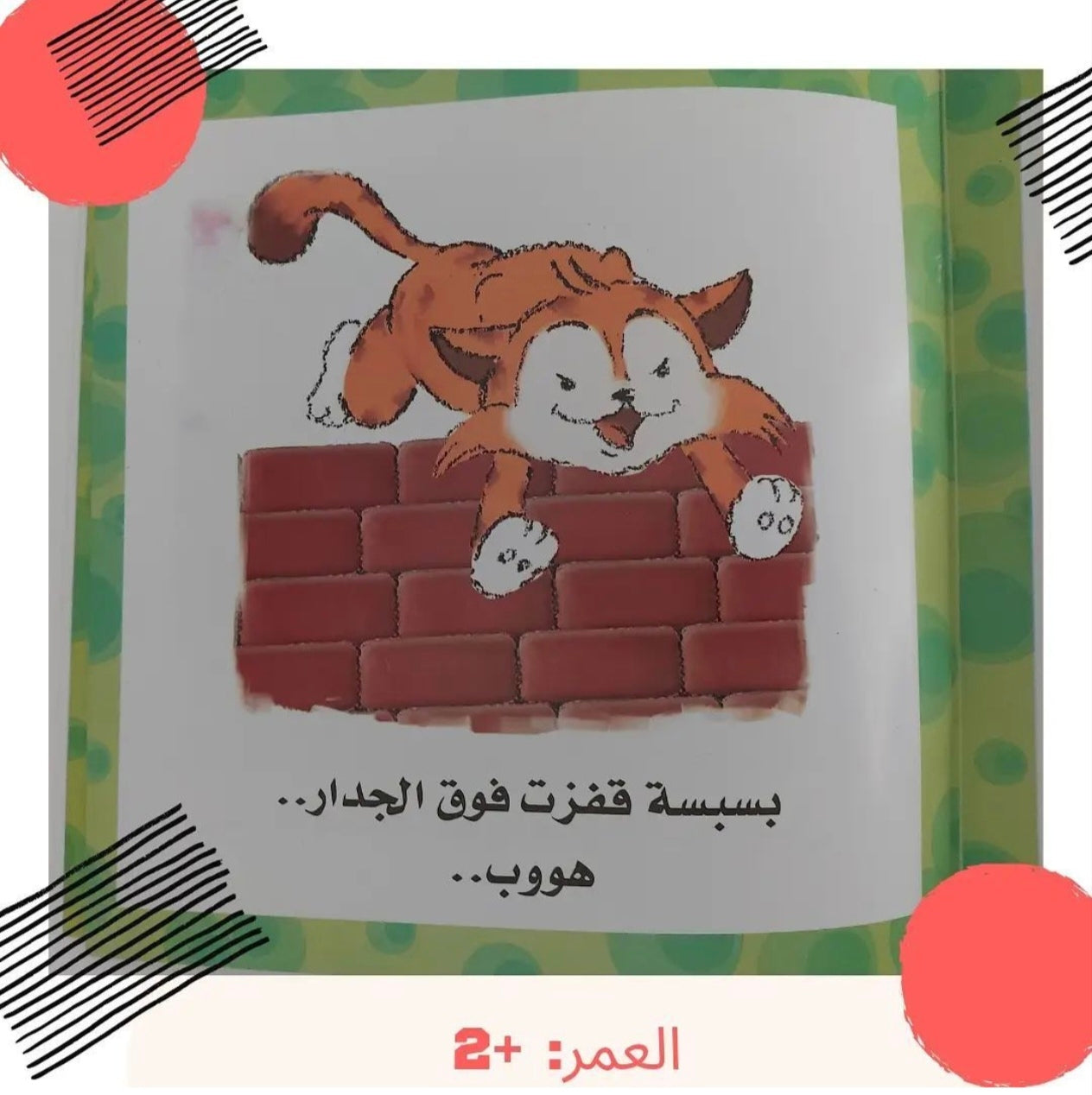 عاكس ومعكوس - opposites
