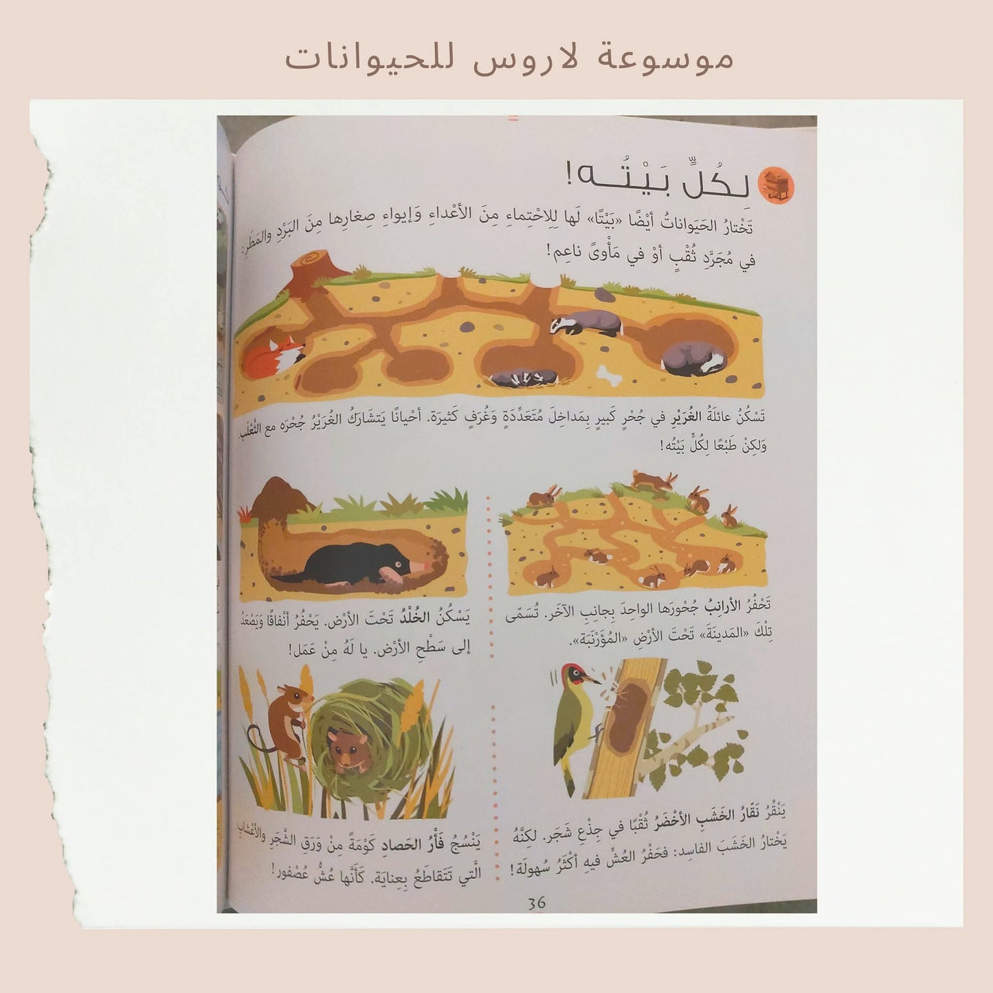 موسوعة لاروس للحيوانات - Larrouse encyclopedia for Animals