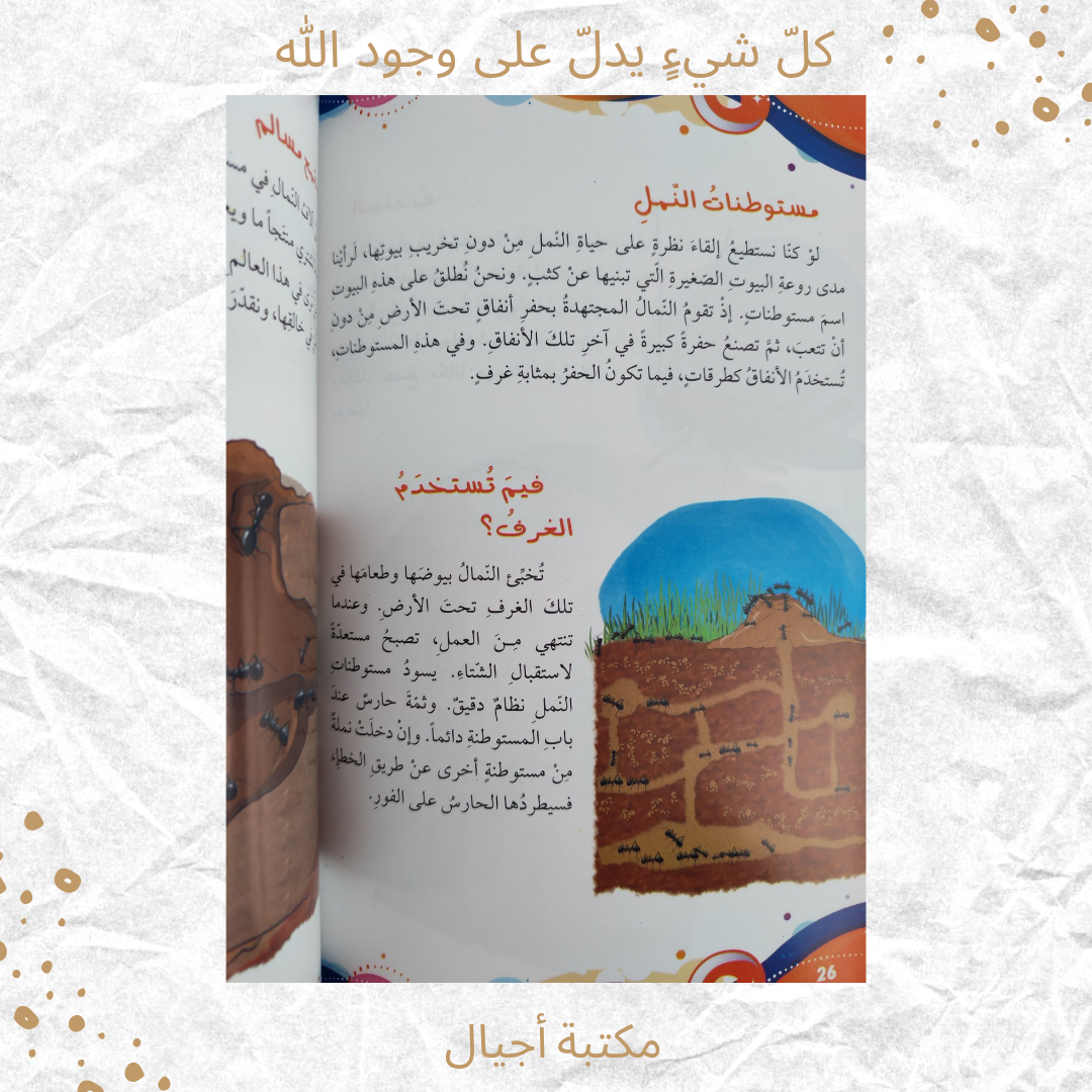 كل شيء يدل على وجود الله - Everything points to the existence of God