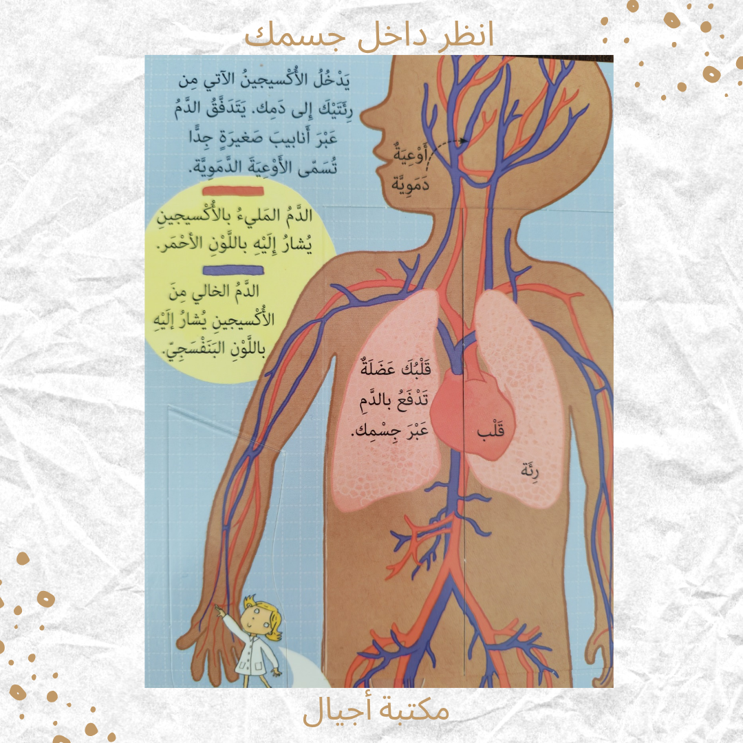 انظر داخل جسمك - Look into your body