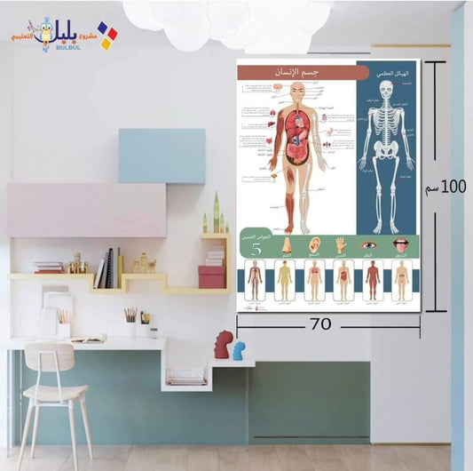 لوحة جسم الإنسان - Human body poster