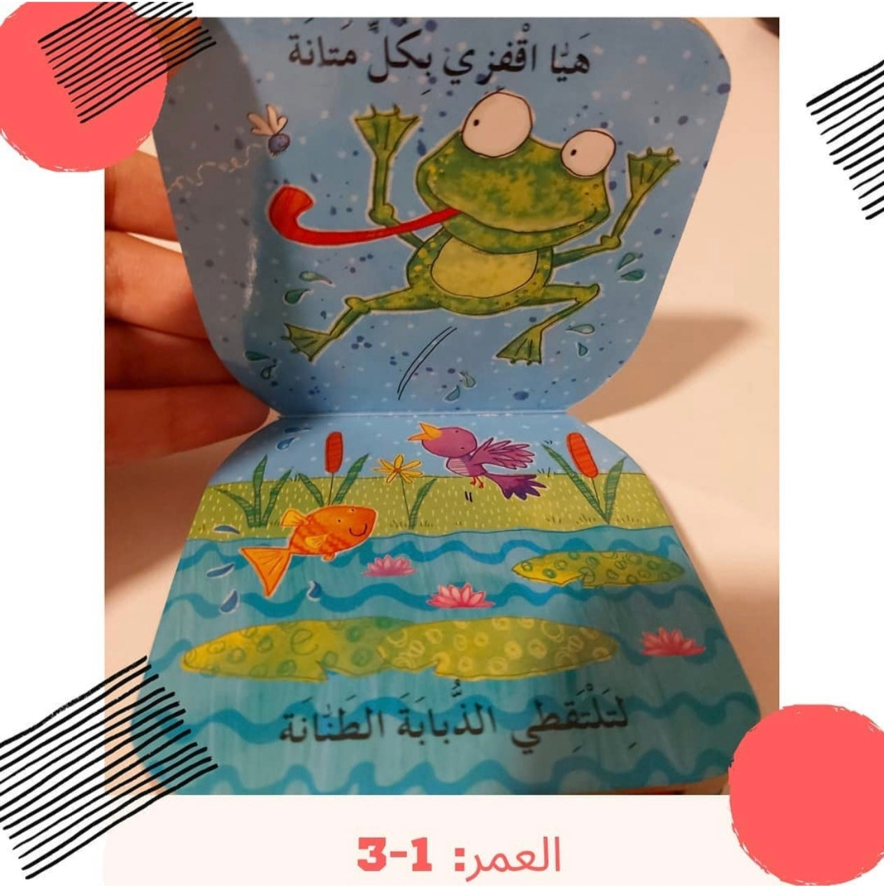 النطاطون الصغار - Small Jumpers